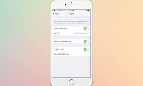 Dummies helps everyone be more knowledgeable and confident in applying what they know. How To Add Or Remove Autofill Credit Cards On Iphone And Macos