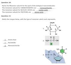 Maybe you would like to learn more about one of these? Question 20 Name The Monomer Subunit For The Each Of Chegg Com