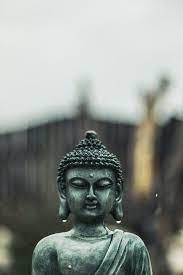 Amazing buddha wallpapers for your android device for free ! Home Page Sunrisesage Buddha Image Lord Buddha Wallpapers Buddha