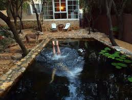 I Ve Always Had A Fondness For Deep Dark Pools Dream Backyard Patio Natural Swimming Pools Swimming Pool Pond