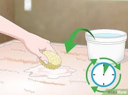 If that virtue is applied, mistake or not, it is dyed. 3 Ways To Get Hair Dye Out Of A Carpet Wikihow