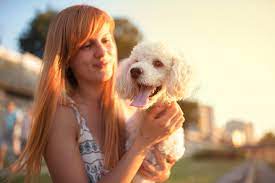 Flowers mill veterinary hospital does not provide veterinary medical services or guidance via the internet. Levittown Pa Area Pet Hospital New Veterinary Clients Flowers Mill Veterinary Hospital Langhorne Pa