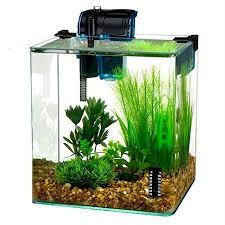 Pin On Petit Aquarium