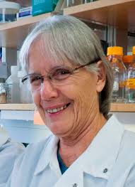 2017 — An island in review