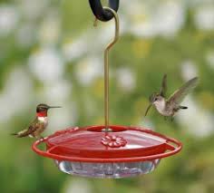 Both baltimore orioles and orchard orioles are fun to watch at our house. Diy Bird Feeders