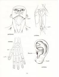 Pin On The Acupuncture Treatment Of Pain Leon Chaitow