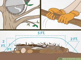 How To Build Dirt Jumps Bmx Mountain Bike Bike Pump Track Bike Parking