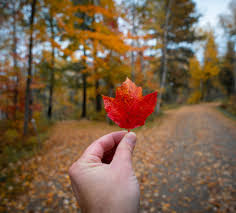 Ely, Minnesota: Top Areas for Scenic Fall Color