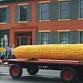 2026 Corn Festival