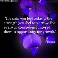 Pin On Orchid Photos Quotes