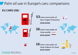 The eu renewable energy law that obliged the commission last year to set sustainability criteria for palm oil under its green goals specifies that the use of unsustainable food. Why Is Palm Oil Biodiesel Bad Transport Environment