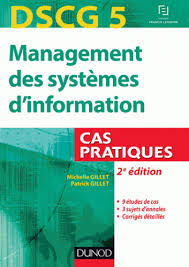Description Du Document Bua Analyse Financiere Livre Electronique Etude De Cas