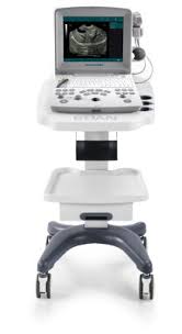 Edan b/w ultrasound systems are the impressive compact ultrasound system that provide superb value and outstanding imaging quality across the entire range of general imaging applications. New Edan Dus 60 Vet Ultrasound For Sale Dotmed Listing 1962095