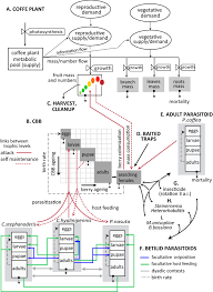 Choose your city for pest control in north carolina ! The Coffee Agroecosystem Bio Economic Analysis Of Coffee Berry Borer Control Hypothenemus Hampei Scientific Reports