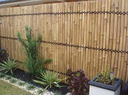 A good choice is the viburnum tinus, a small leaf evergreen that grows to about 3.5 metres. Contemporary Ideas Bamboo Screen Endearing 1000 Ideas About Bamboo Screening On Pinterest Bamboo Garden Fences Bamboo Garden Bamboo Screening Fence