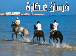 Check spelling or type a new query. Ø¹ÙƒØ§Ø±Ø© ØªØ§Ø±ÙŠØ® ÙˆØ§ØµÙˆÙ„ Ø§Ù„Ù„ÙŠØ¨ÙŠÙŠÙ† Ø§Ù„Ø§ØµÙ„ÙŠÙŠÙ†