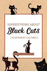 Superstitions About Black Cats In Different Cultures Superstition Black Cat Superstition Witchcraft For Beginners