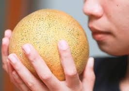 Big city greens is an animated comedy series produced for disney channel, created by chris and shane houghton (colloquially known as the houghton brothers), who both previously worked as writers on harvey beaks.rob renzetti (my life as a teenage robot) served as an executive producer on the first season.the show premiered june 18, 2018. Here S The Perfect Way To Choose And Cut A Watermelon Plus Other Nifty Fruits Hacks