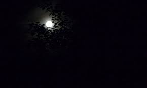 What planet has a black sky? Milky Moonlight In A Pitch Black Sky Mayra Aleida