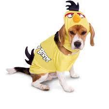 Image Result For Diy Angry Birds Dog Costume