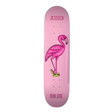• steep concave• 7 ply hard rock canadian maple• original artwork• made in the usa• 100% satisfaction guaranteed we have one of the lowest prices on shipping out there! Flamingo Skateboards Outdoor Gear Zazzle Nz