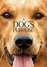 Here is a fine collection of dog coloring sheets for all the dog enthusiasts. A Dog S Purpose Movie Fanart Fanart Tv