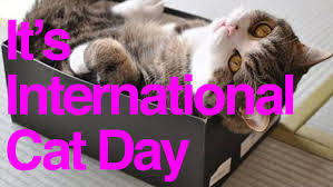 Faw (the international fund for animal welfare) organized this inaugural celebration in 2002 with other animal rights organizations to honor the world's most popular pet. It S International Cat Day Clutter Magazine