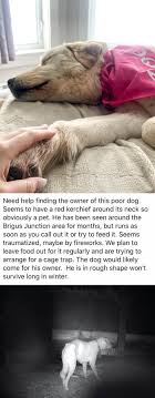 We did not find results for: 50 Pics Showing Missing Dogs Returning To Their Homes That Might Get You Teary Eyed Bored Panda