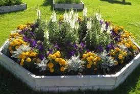 Can be in shade or full sun. Heat Loving Container Plants For Hot Weather Perfect Plants