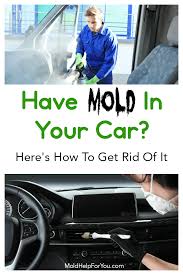 How Do You Get Rid Of Mold In A Car Get Rid Of Mold Mold Remover Car Carpet