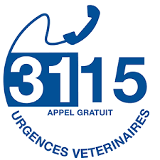 Clinique vétérinaire laennec à laval. Veterinaire De Garde Carvin 62220 Au 3115 Appel 100 Gratuit