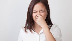 Det anbefales å utføre kombinasjon rens og skifte av kupefilter. Mange Kjenner Vonde Lukter Som Ikke Er Der