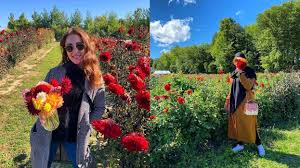 Pick your own flowers melbourne. You Pick You Own Flowers At Quebec S Au Beau Pre Farm Mtl Blog