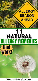 We did not find results for: Natural Allergy Remedies That Really Work Whole New Mom