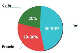 Low Carb Guidelines Mini Pie Chart In 2019 No Carb Diets