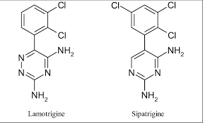 Image result for Sodium Channel Blocker
