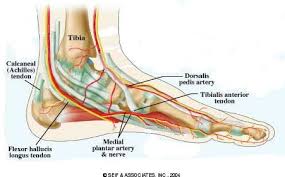 Pin On Chiropractic