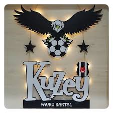 Yavru Kartal Yazili Isimli Isikli Kapi Susu Fiyatlari Ve Ozellikleri