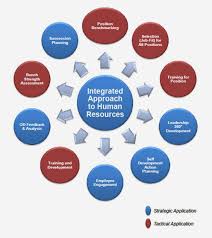 Cartel 13 Human Resources Human Resource Management System Training And Development