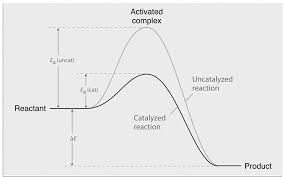 C) they increase the stability of the product of a desired reaction by allowing ionizations, resonance, and isomerizations not normally available to. How Does A Catalyst Influence A Chemical Reaction Brainly Com
