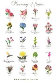 Floral Tattoo With Names Tattoideas Birth Flower Tattoos Types Of Flowers Flower Meanings