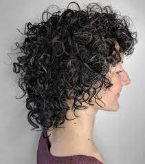 29 Most Flattering Short Curly Hairstyles To Perfectly Shape Your Curls Curly Hair Styles Short Curly Hair Hair Styles
