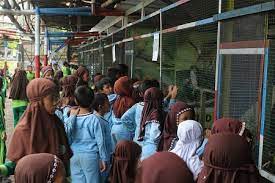 Alas prambon sidoarjo ,lokasi wisata outbound di sidoarjo jawa timur, terlengkap dengan misi pelatihan mental, edukasi pertanian, perkebunan dan perikanan sekaligus hiburan seru bagi para. Harga Tiket Masuk Alas Prambon Harga Tiket Masuk Wisata Alas Prambon Alas Prambon Kabupaten Sidoarjo Biaya Outbound Alas Prambon Alas Prambon Sidoarjo
