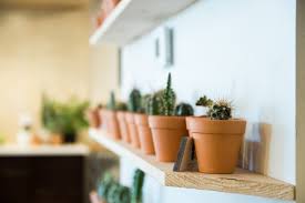 Our desire is not only to provide this city with quality coffee, but to do so humbly, welcoming all who might join us for a cup. Little Bear Coffee The Lobo Life