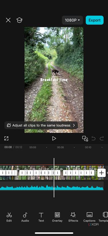 CapCut Video Editor 3