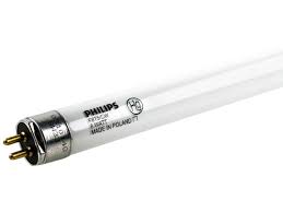 Philips 8w 12in T5 Cool White Fluorescent Tube F8t5 Cw Bulbs Com
