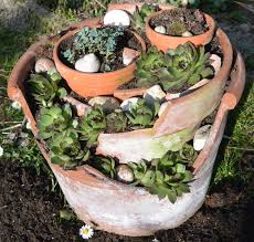 Zerbrochene Topfe Als Hauswurzen Quartier Hauswurz Pflanzen Garten Deko Pflanzen