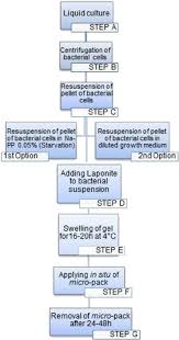 Flow Chart Of The Biocleaning Procedure Download