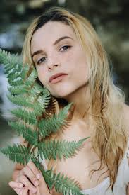 Free: Plant Fern Burknar Clip art