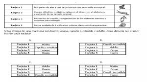De las siguientes temperaturas de 1 litro de agua a cuando contestamos estas preguntas sobre algo o sobre alguien, estamos describiendo. Test Gsr Cts Prueba 1 Sistemas Sociedad